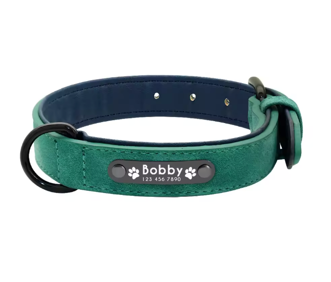 Personalized Engraved Dog Collar with Custom Name Plate