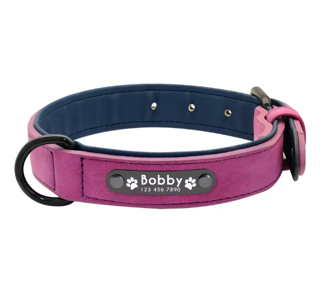 Personalized Engraved Dog Collar with Custom Name Plate